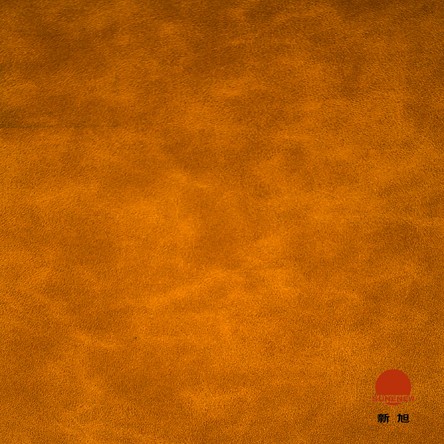 XXBJS-001